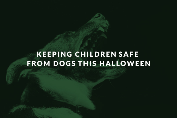 Keep children safe from dogs