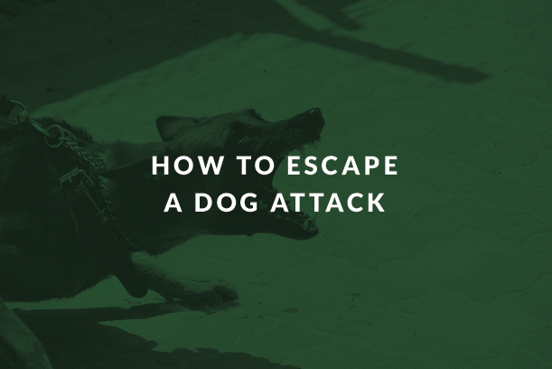 How to Escape a Dog Attack