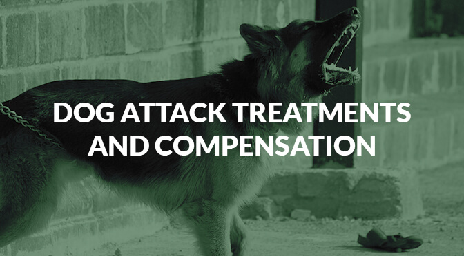 Dog Attack Treatments and Compensation