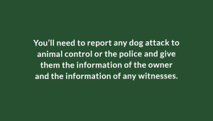 Contact the police after a dog bite
