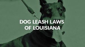 Dog Leash Laws of Louisiana